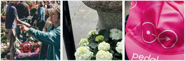 Flower market triptych — hydrangeas, market crowd, Pedal Me cap