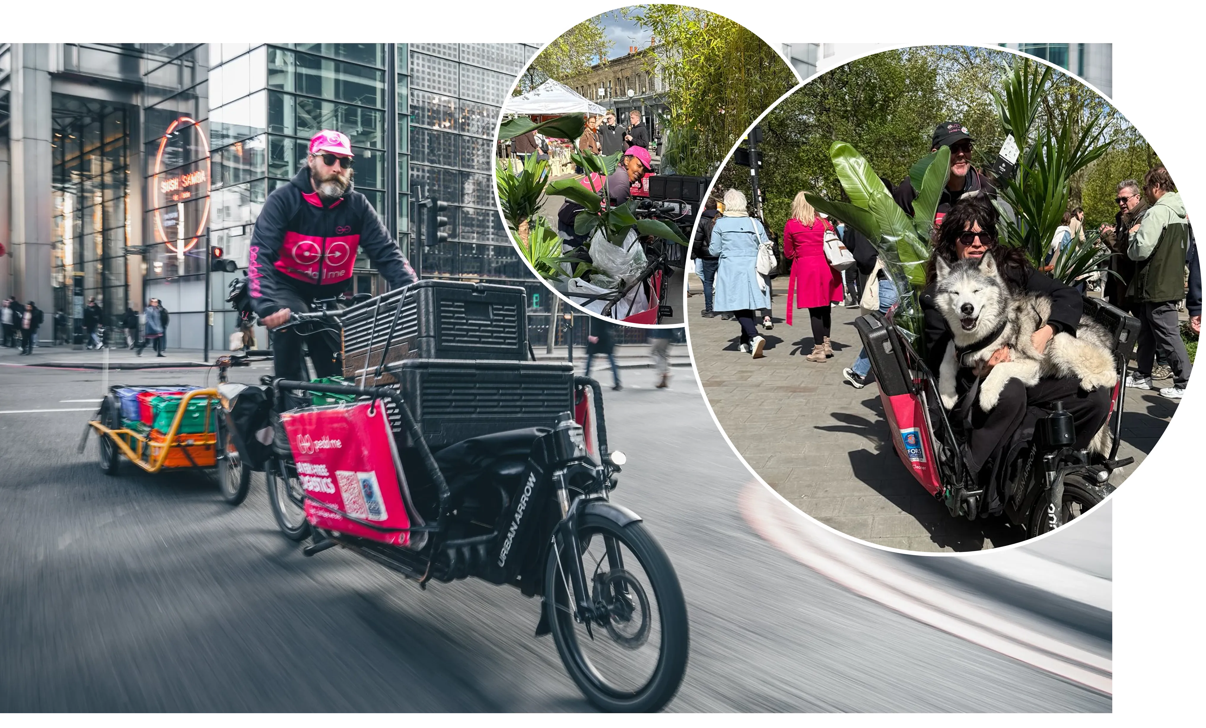Pedal Me cargo bike in London, Columbia Road market, plants and people