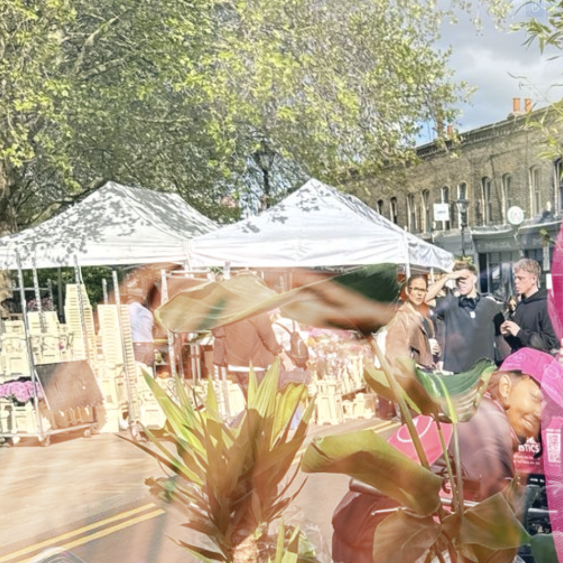 Double exposure — Columbia Road market and tropical leaves