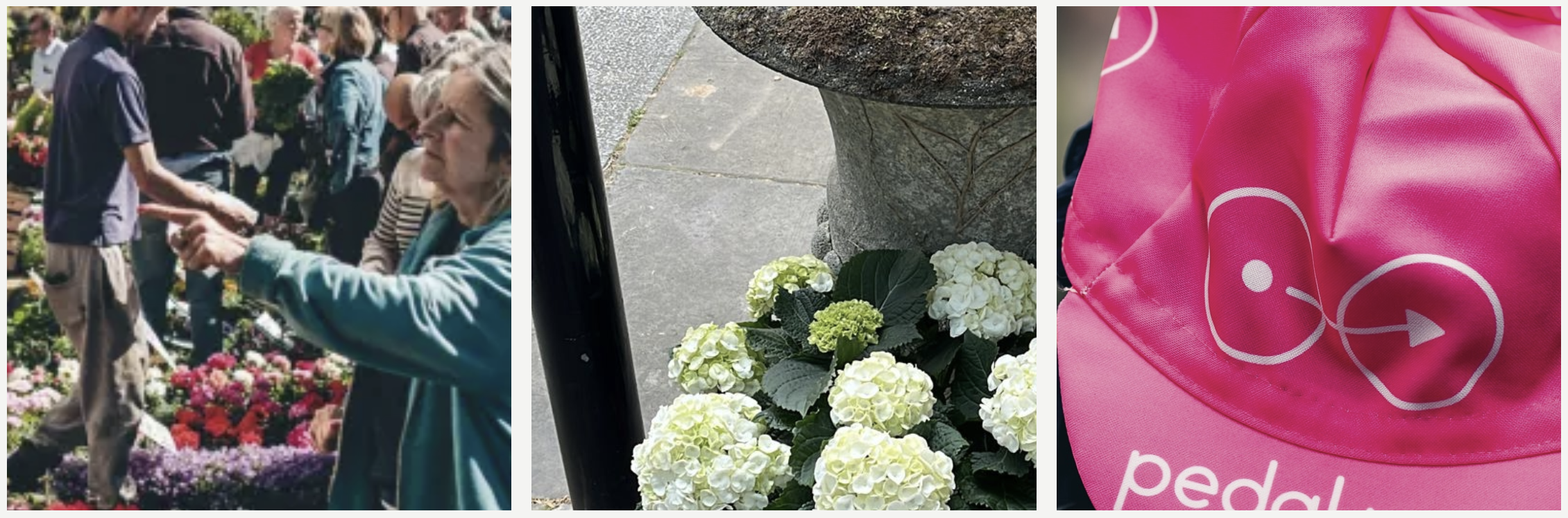 Flower market triptych — hydrangeas, market crowd, Pedal Me cap
