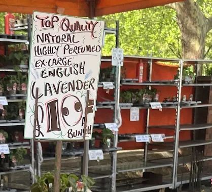 Handwritten lavender sign, Columbia Road