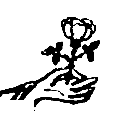 Hand holding a flower